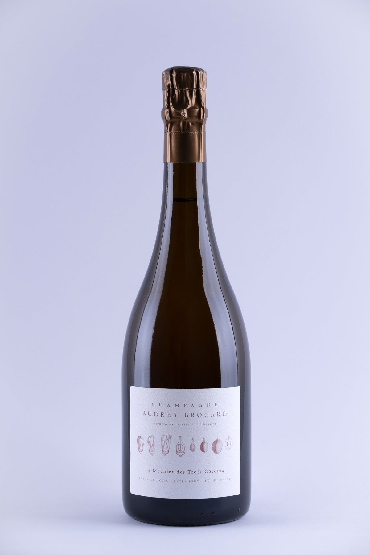 Nuestra selección del momento